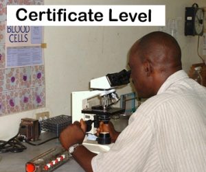 Schools, Colleges & Universities offering Science Medical Laboratory Technology Certificate, Technician, Certification, Course details, Contacts, County