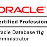 Schools, Colleges & Universities offering Certificate Higher Diploma and Diploma in Oracle Database 11g Administrator Certified professional Course in Kenya Intake, Application, Admission, Registration, Contacts, School Fees, Jobs, Vacancies