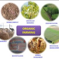 Schools, Colleges & Universities offering Diploma, Higher Diploma, Postgraduate Diploma & Advanced Diploma in Organic Farming Crop Improvement and Protection Course in Kenya Intake, Application, Admission, Registration, Contacts, School Fees, Jobs, Vacancies
