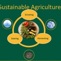 Schools, Colleges & Universities offering Certificate Higher Diploma and Diploma in Sustainable Agriculture and Rural Development Course in Kenya Intake, Application, Admission, Registration, Contacts, School Fees, Jobs, Vacancies