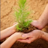 Schools, Colleges & Universities offering Certificate Higher Diploma and Diploma in Tree Germplasm Technology Course in Kenya Intake, Application, Admission, Registration, Contacts, School Fees, Jobs, Vacancies