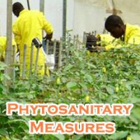 Schools, Colleges & Universities offering Certificate Higher Diploma and Diploma in Sanitary & Phytosanitary Measures Course in Kenya Intake, Application, Admission, Registration, Contacts, School Fees, Jobs, Vacancies