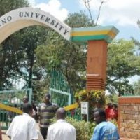 Maseno University Diploma Courses