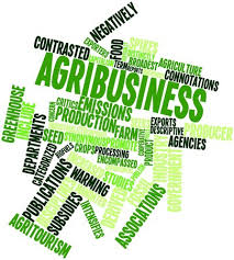 Schools, Colleges & Universities offering Agribusiness Management Certificate in Kenya