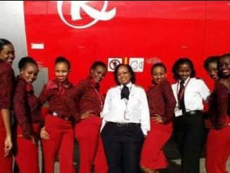 Schools, Colleges & Universities offering Airline Cabin Crew Training Certificate Course in Kenya, Intake, Application, Admission, Registration, Contacts, School fees
