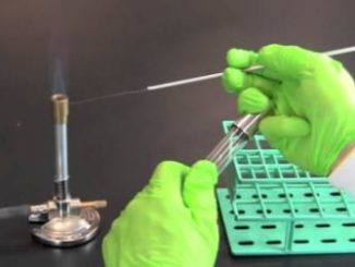 Microbiological Laboratory Techniques in TUK - Best Certificate & Diploma
