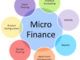 Best Microfinance Management Colleges - Certificate & Diploma Courses