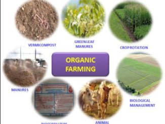 Best Organic Farming, Crop Improvement & Protection Colleges - Diploma