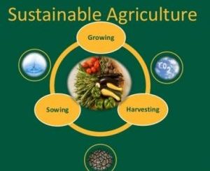 Best Sustainable Agriculture Colleges - Certificate & Diploma Courses
