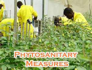 Best Sanitary & Phytosanitary Measures Colleges - Certificate & Diploma