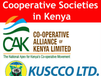 Best Way for People to Form the Best Cooperative Societies in Kenya