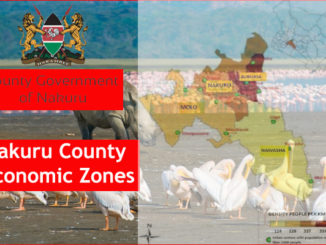Economic Activities in all Constituencies in Nakuru County