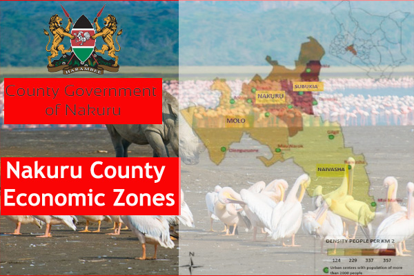 Economic Activities in all Constituencies in Nakuru County