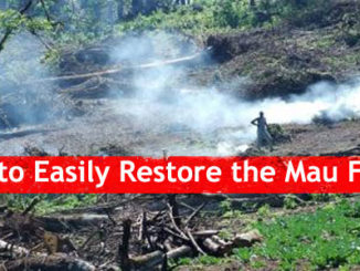 How to Easily Restore Mau Forest and other Water Towers in Kenya. Mau Forest Complex, The Mount Kenya, The Aberdares, The Cherangani Hills and Mt. Elgon