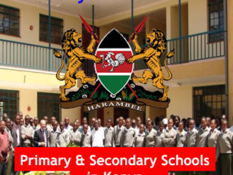Primary Schools in Kenya, Secondary Schools in Kenya