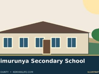Concept school illustration for Nkaimurunya Secondary School; not a real campus photograph