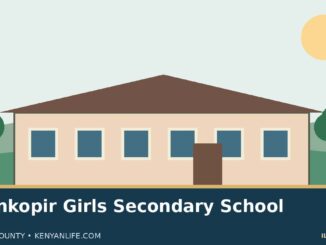 Illustration of a fictional Kenyan school campus representing Noonkopir Girls Secondary School; not an actual campus photograph