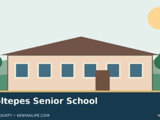 Illustration of a fictional Kenyan school campus representing Olooltepes Senior School; not an actual campus photograph